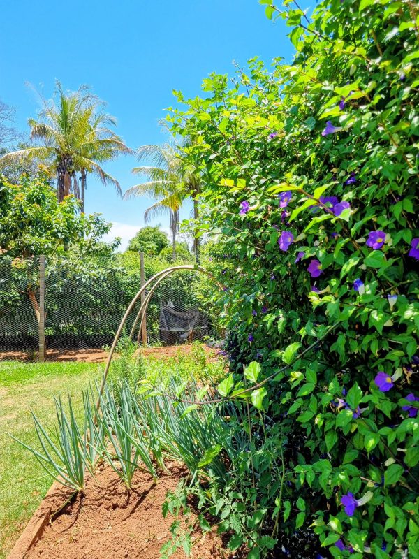 592097789_739764095813683_4951512187427491807_n