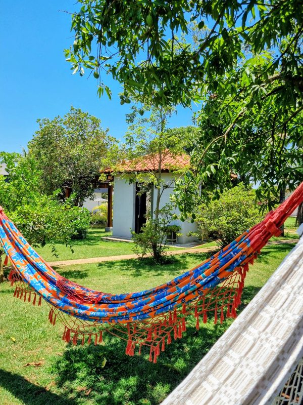 592137636_739764255813667_3188294109770407228_n