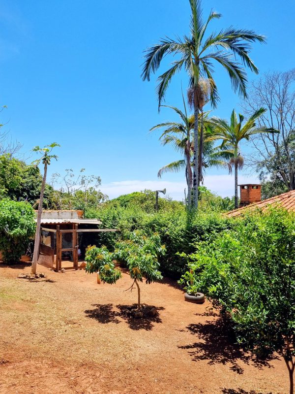 592149565_739764015813691_980513408940863525_n