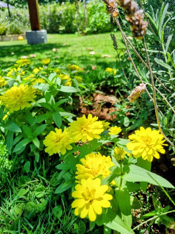 592189736_739762812480478_7137686294545768330_n