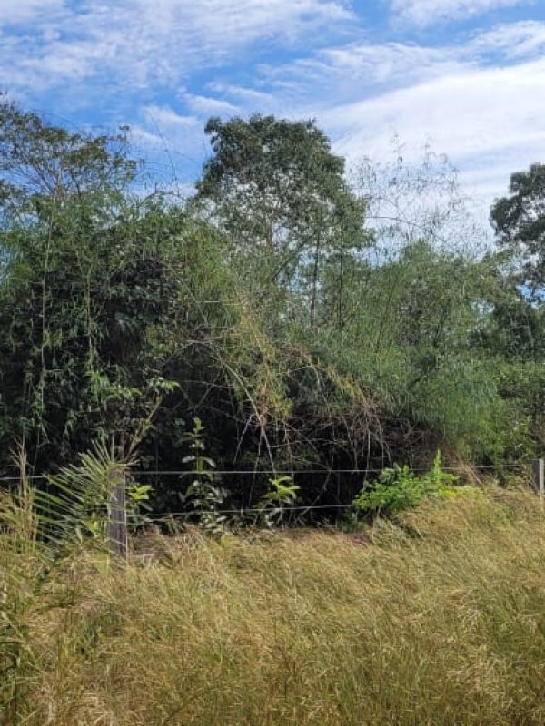 5b3a8f5b-d343-4a08-9cd2-20b0886e55c0