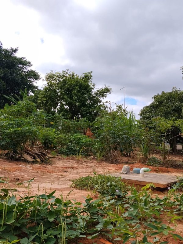 5db9a374-dc07-40cb-8315-1309576ac1fc