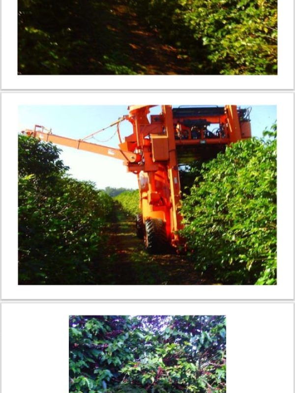 5f11e682-853b-4311-8216-27bbad94fbcf