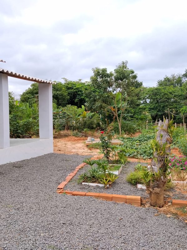 60050cf4-50bc-4991-8171-f862458ac2cc