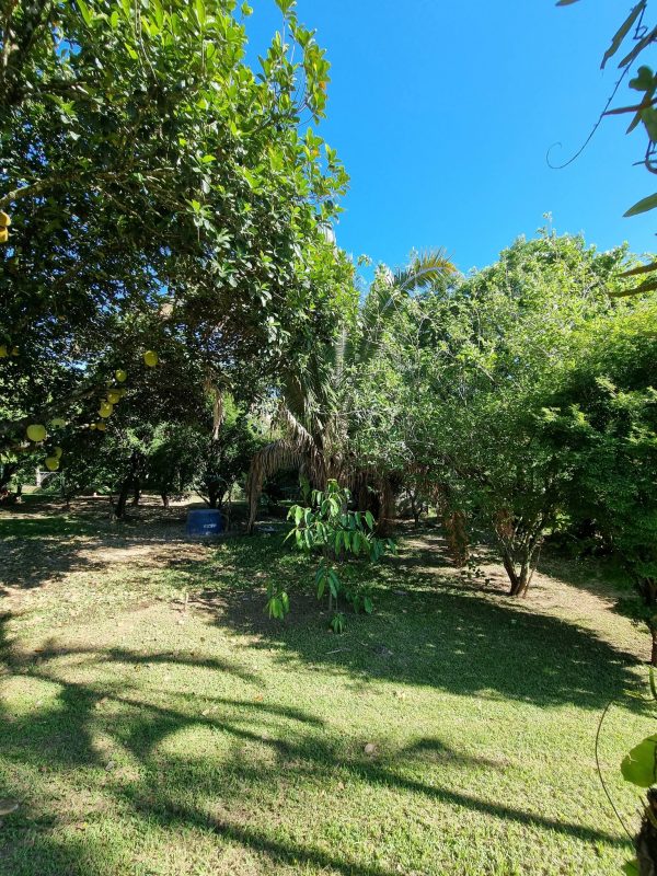 601945282_756680667455359_3094896750217902885_n