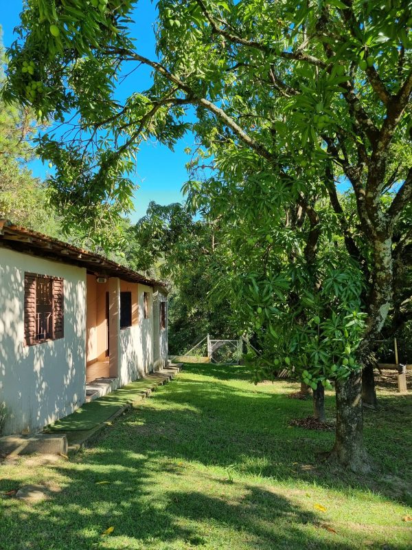 603797800_756680900788669_5746247436059822398_n