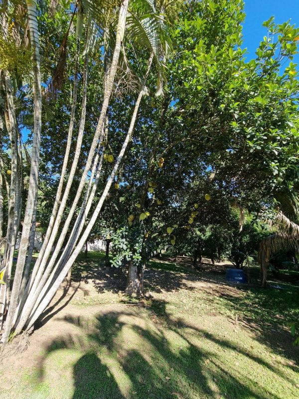 605145026_756680757455350_1359807980170430251_n