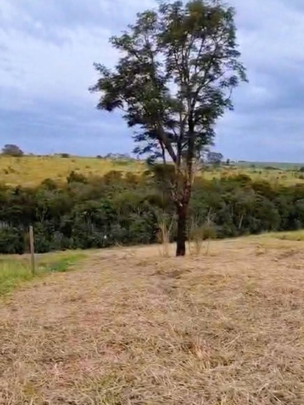 614651503_1441422834656068_8440882266765242554_n (1)