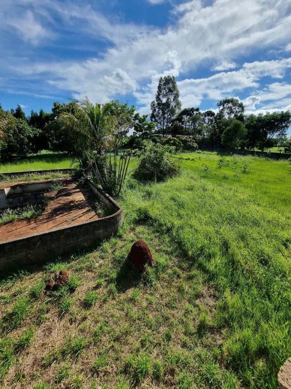 615140136_1441210334677318_2601976001349649329_n