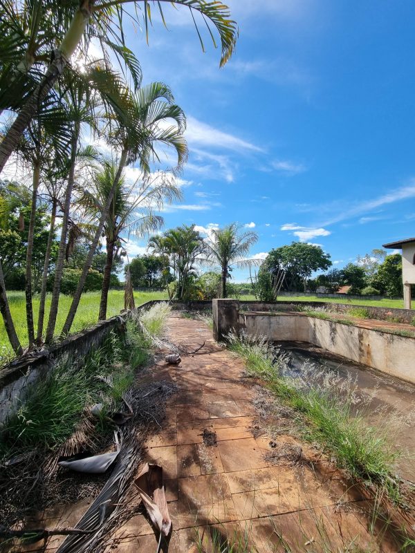 615211110_1441205254677826_1158039124626979022_n