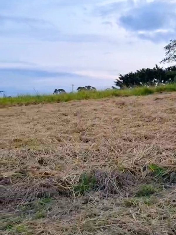 615232094_1441422797989405_7999128705941495484_n