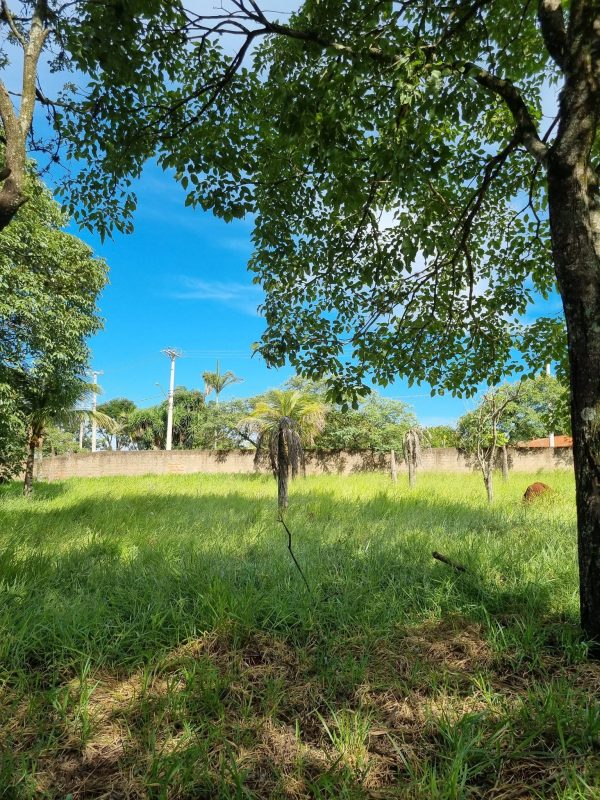 615308053_1441205884677763_1151218336136560240_n