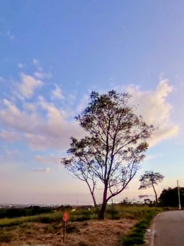 615354437_1441418677989817_4901446927202762306_n