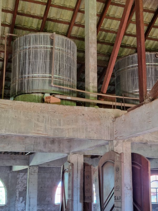 615398222_1441207281344290_8211443169824577392_n