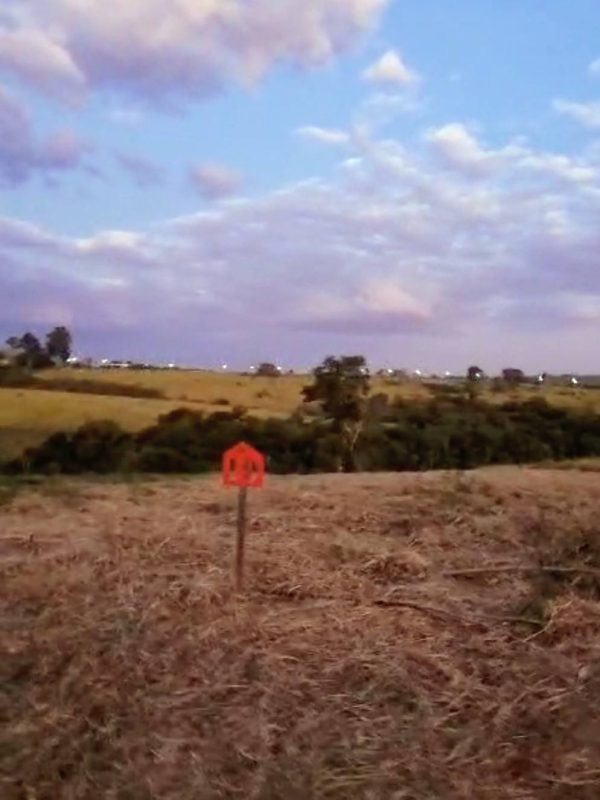 615410398_1441418621323156_4912937425171851410_n