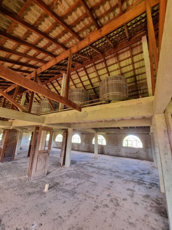 615411721_1441206808011004_224516885885587486_n