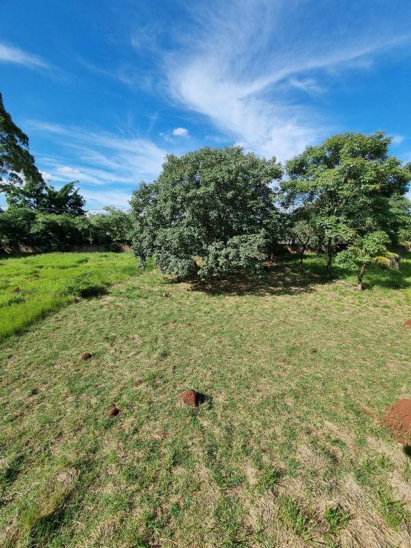 615825260_1441210418010643_8080702750481056045_n