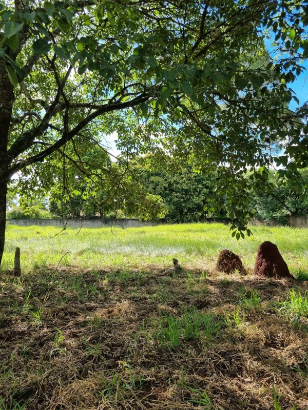 616019587_1441205991344419_6149495520401314489_n