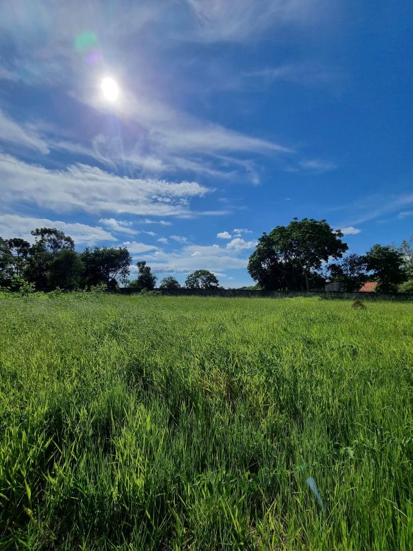 616196865_1441204828011202_7763272944960267278_n