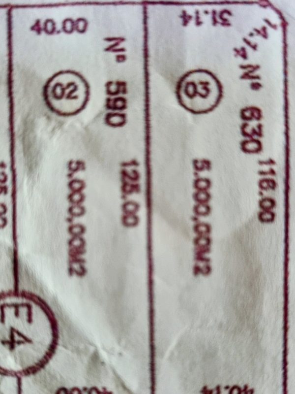 616580981_1441213088010376_7701078898158733982_n