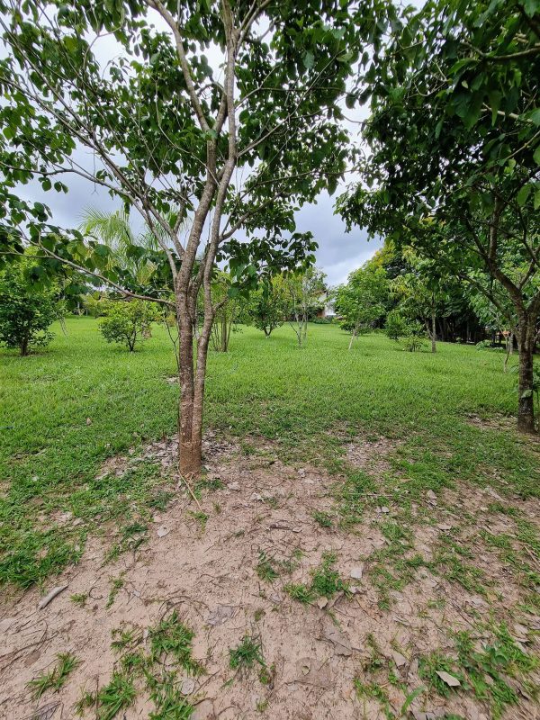 617022842_780267708429988_4249083082817138165_n