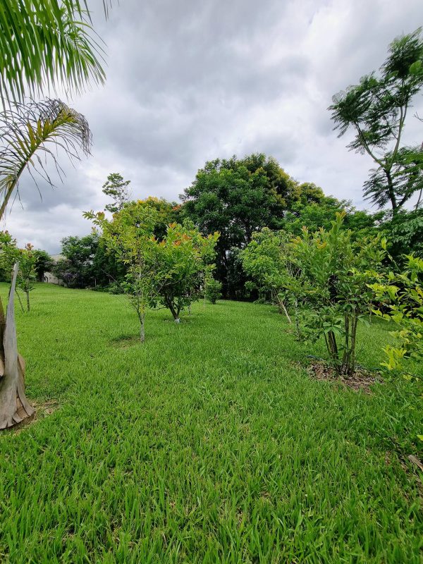 617353898_780268131763279_194365154240800543_n