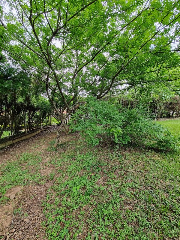 617701715_780268008429958_1011396392848927458_n