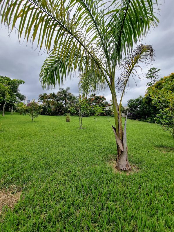 618870614_780267618429997_7166604311885894658_n