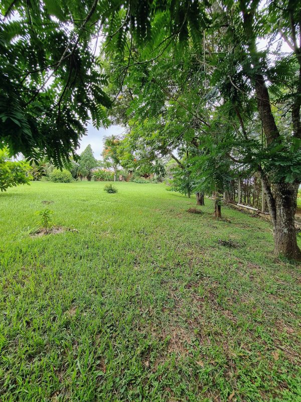 619327992_780268078429951_4905780468328928505_n