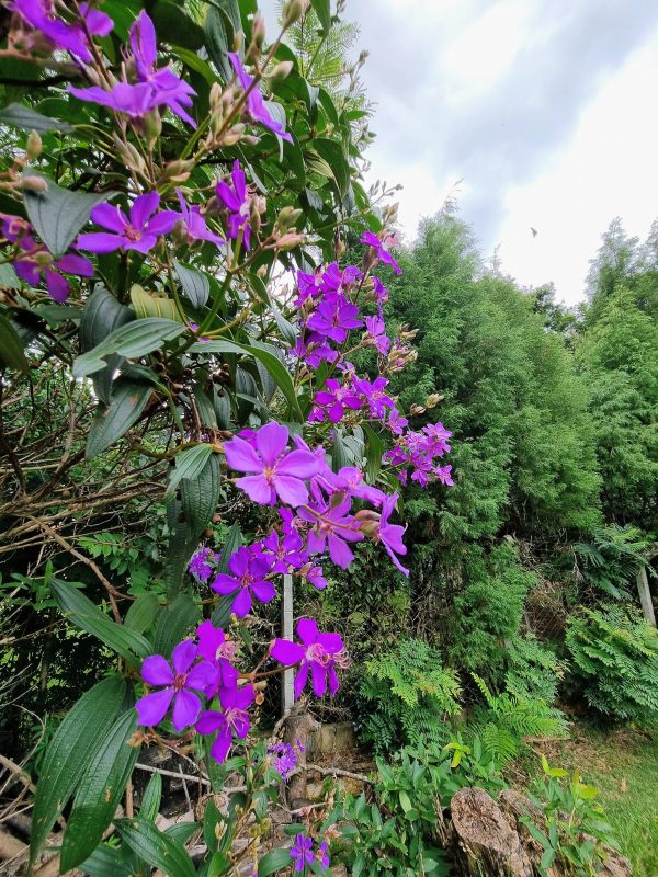 619404236_780267561763336_2936629842670082221_n