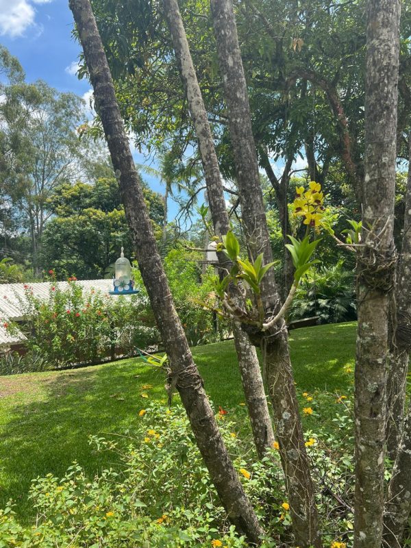 622d4126-2ac0-42b3-82b8-e0f69acae182