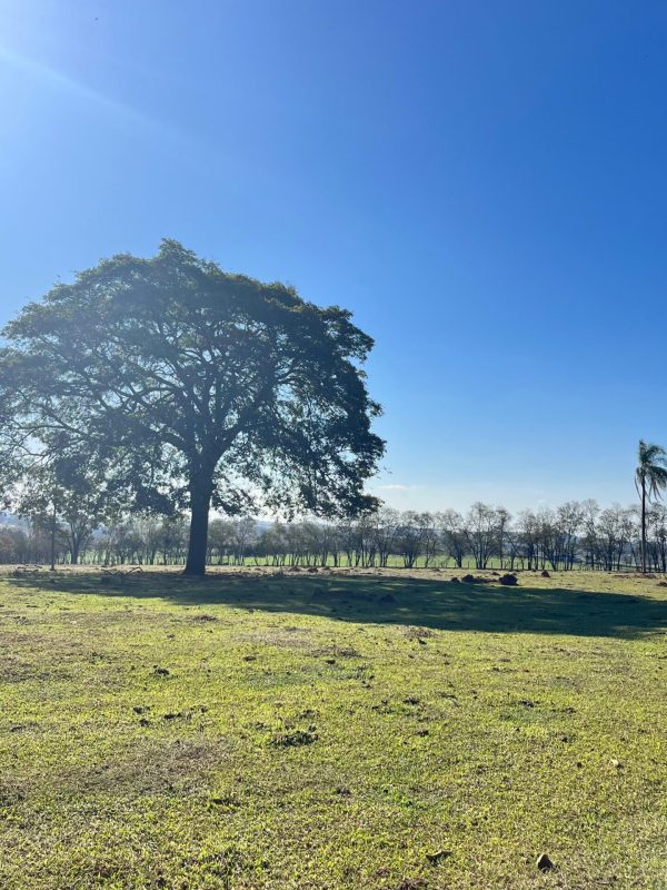 624eb702-6021-42c1-a316-56bfa789c70d