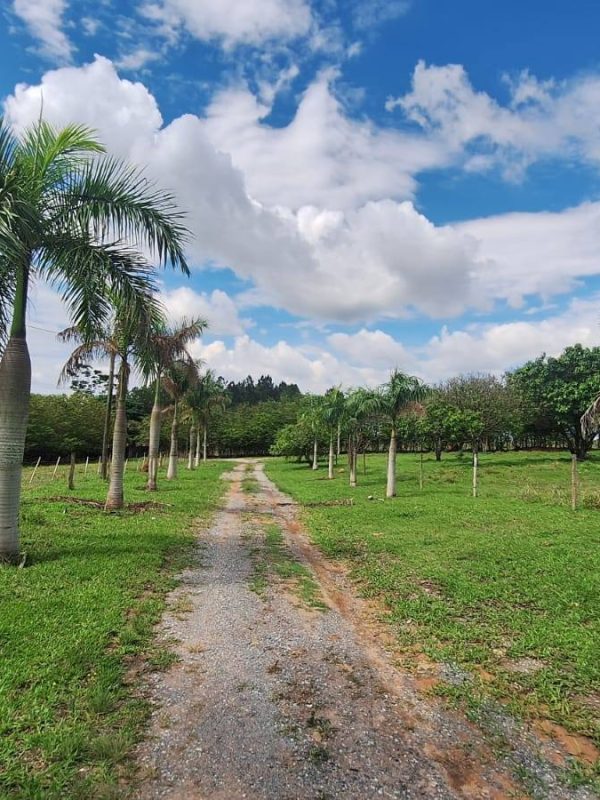 629356157_794513570338735_8286007942231741129_n