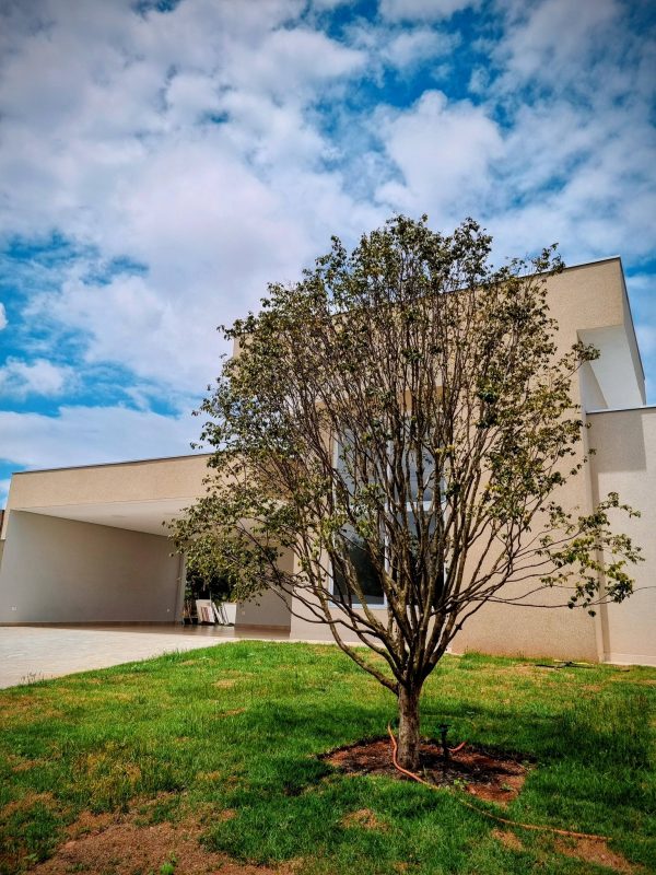 640322127_1480619374069747_771743616905529255_n