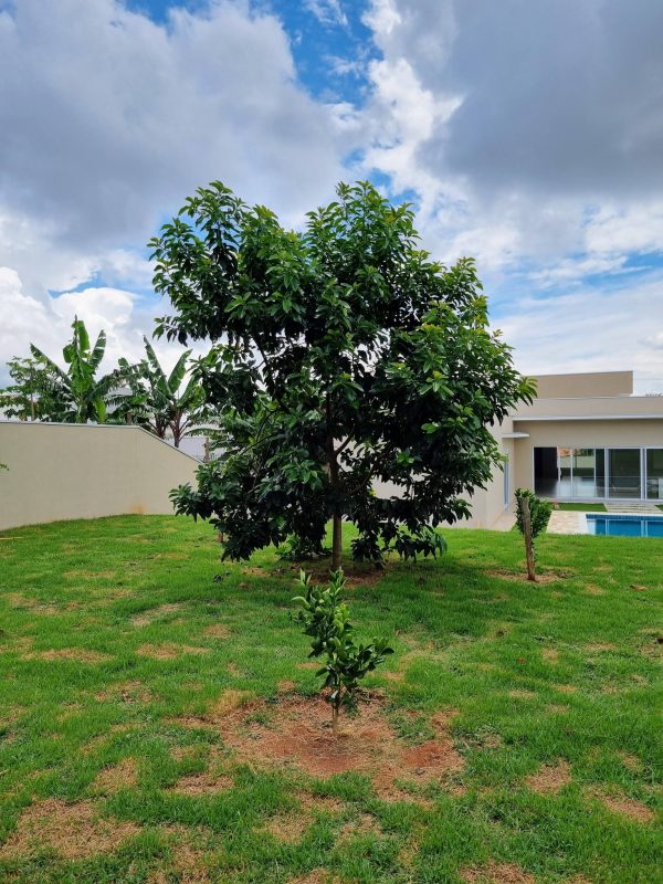 641497961_1480621184069566_6961028503463756877_n