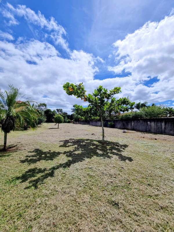 643944971_1484645253667159_2262223140520508313_n