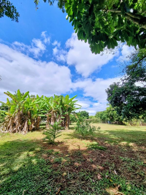 644560896_1484645033667181_7628989589305031839_n