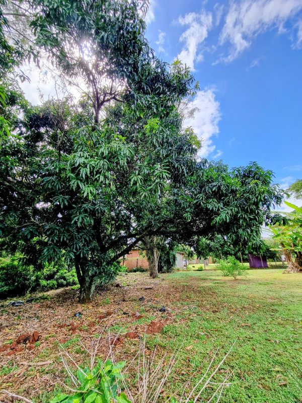 644849578_1484644847000533_8235945992446416039_n