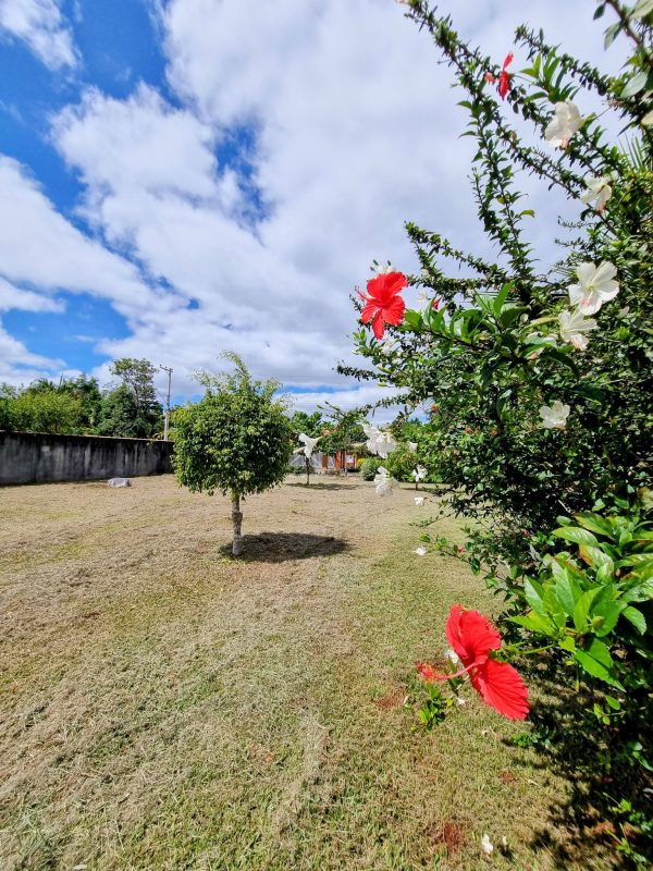 645609680_1484645200333831_6167087970653415911_n