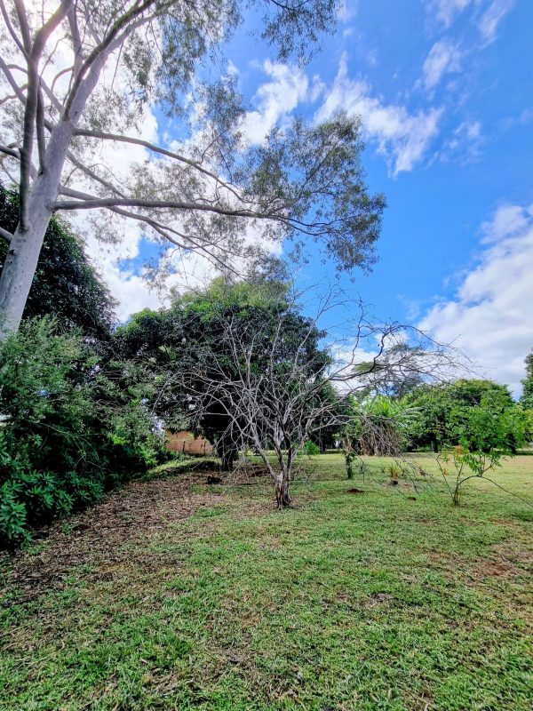 645631999_1484644787000539_7016999835088150559_n