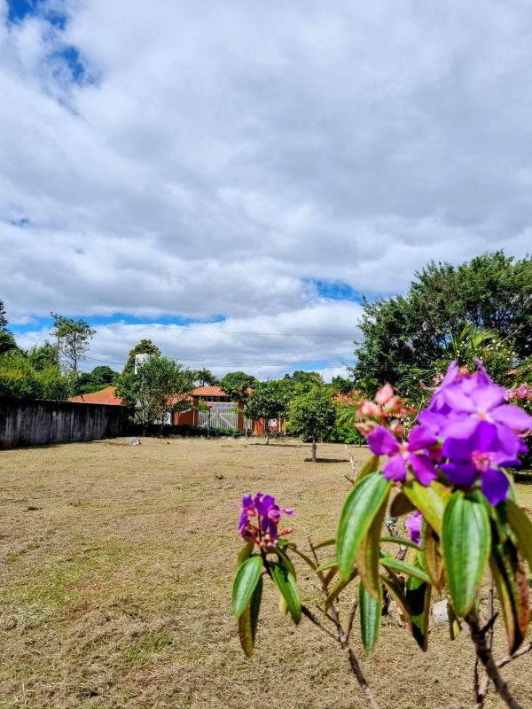 645714628_1484645147000503_3838554624423013933_n