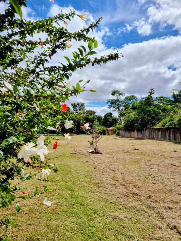 645982940_1484645483667136_7474927084133531869_n