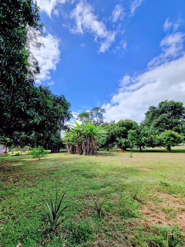 646009403_1484644903667194_7884216918637051273_n