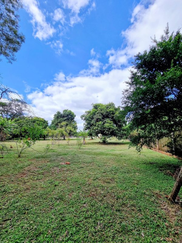 646022619_1484644693667215_2927454282708315791_n