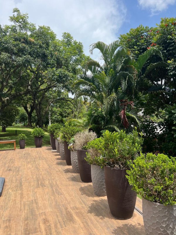 73874ee9-7959-4b9f-b151-62576decb66d