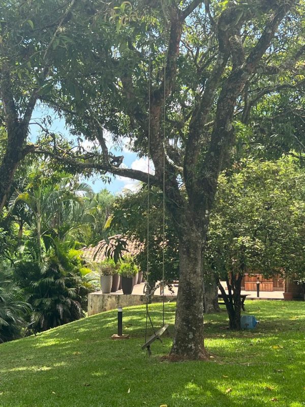 7941ca24-a33e-4f9f-aac9-50f6eaa3d932