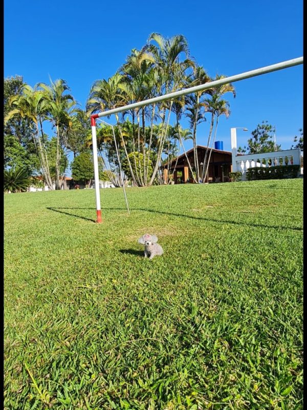 7ee2edda-c3b2-4904-8bc3-e417d9c4483b