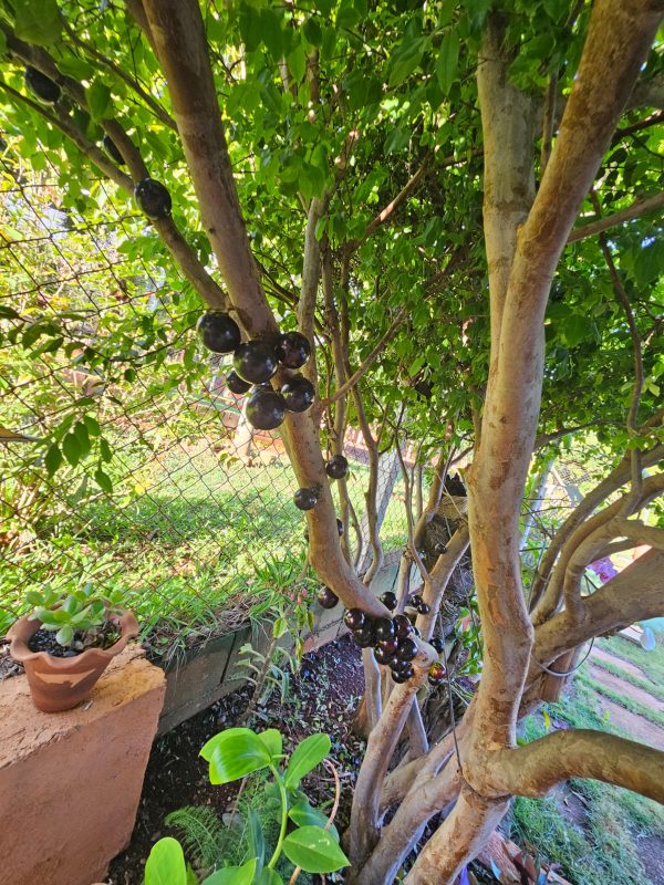 8bb90a78-8eb7-4fb1-9ab7-c7828815f290