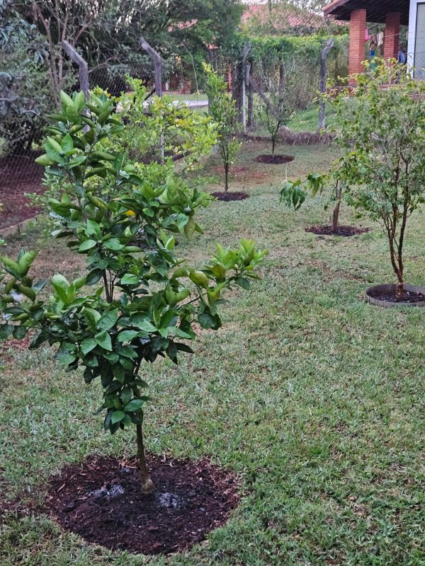 9088b0b2-a4a4-40f4-a954-65b147b556b2