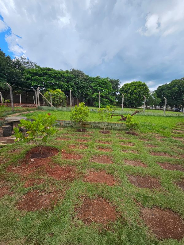 a713a611-654c-476f-9991-3c2e4aabb0c5